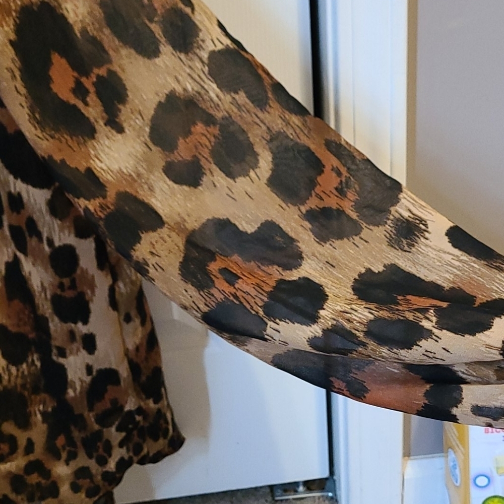 C3: large- leopard print long sleeve blouse - Picture 4 of 5